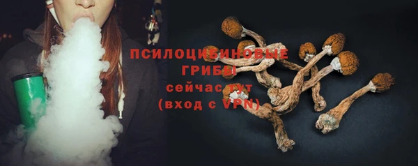 шишки Абдулино