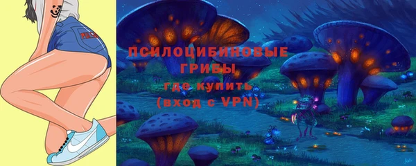 дурь Алексин
